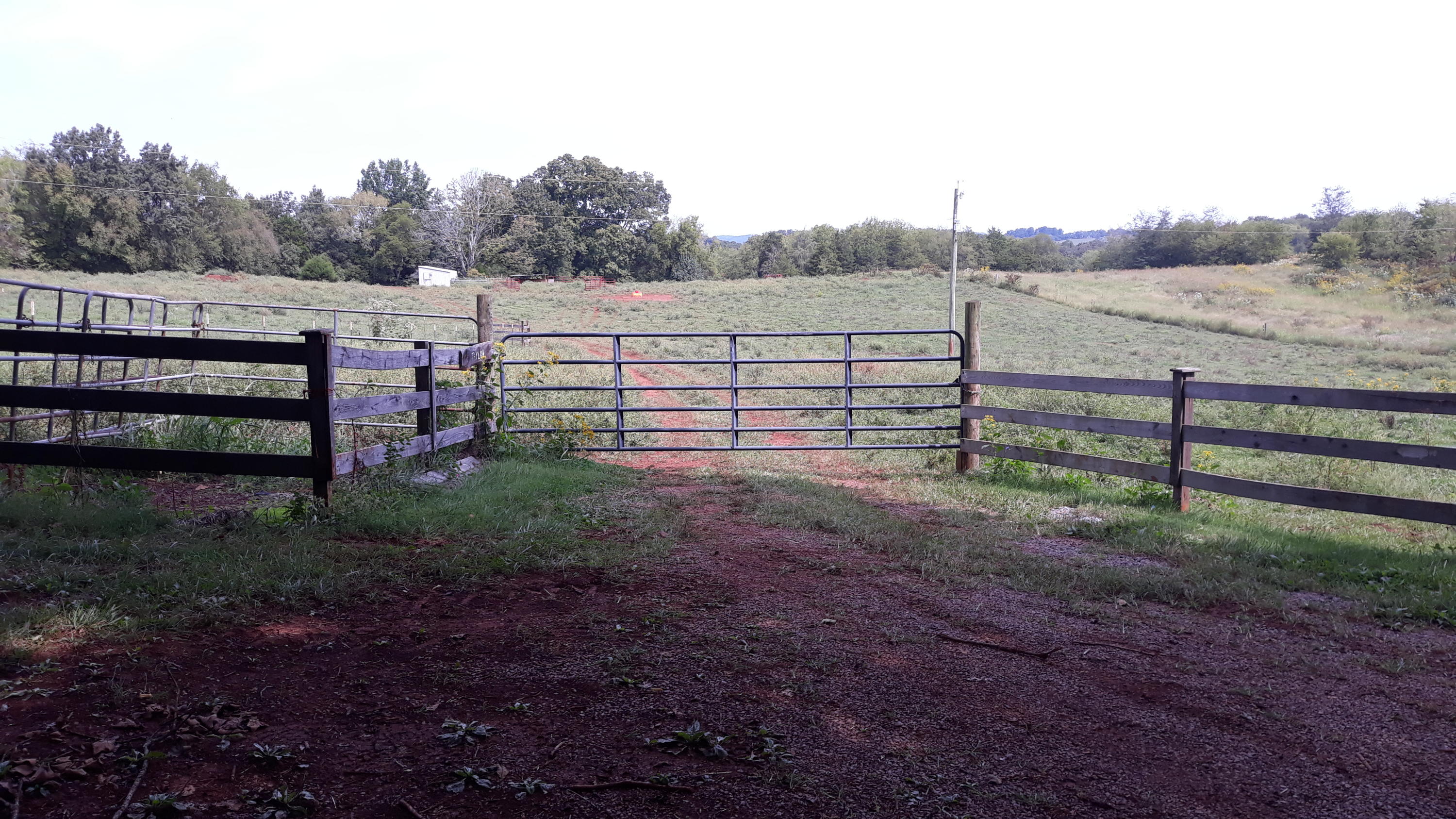 0 Judson Road Strawberry Plains, TN 37871 - Photo 11 of 34 20200916_132634