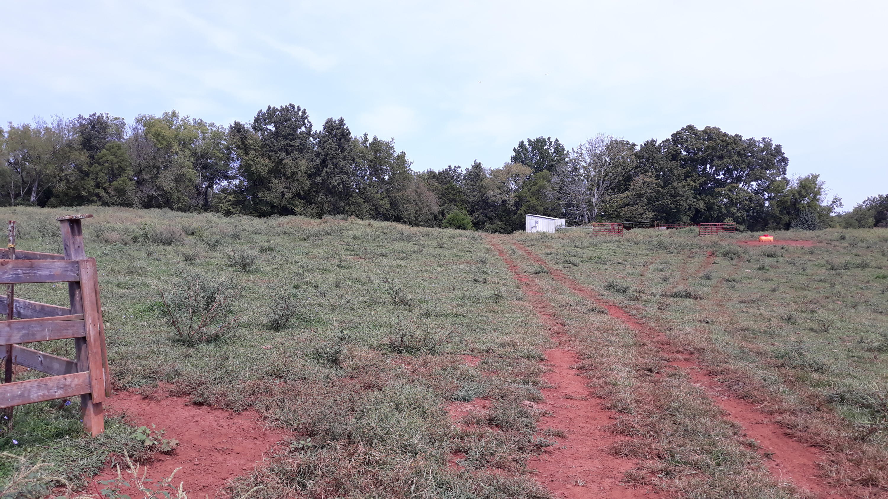 0 Judson Road Strawberry Plains, TN 37871 - Photo 12 of 34 20200916_133014