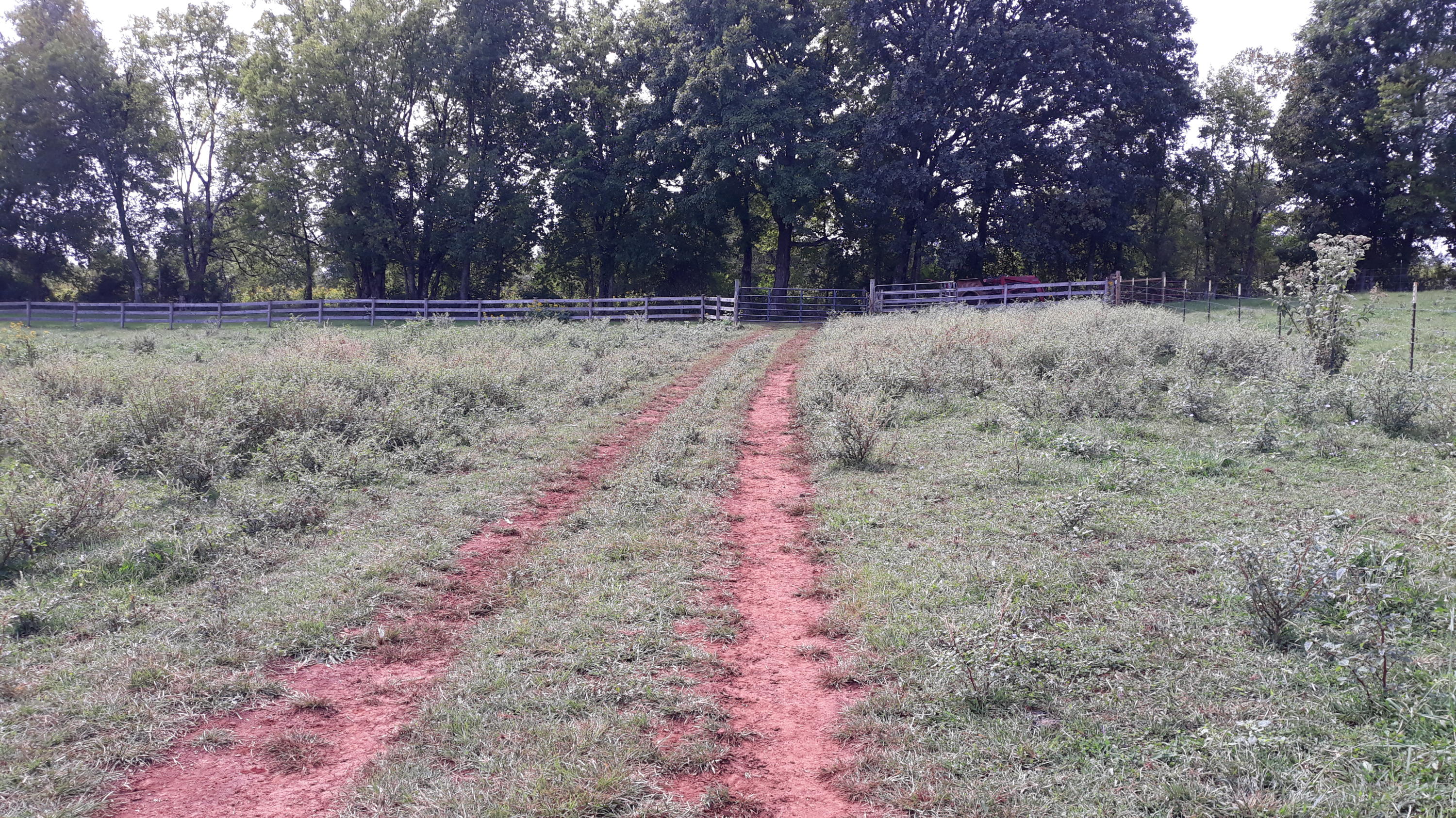 0 Judson Road Strawberry Plains, TN 37871 - Photo 13 of 34 20200916_133022