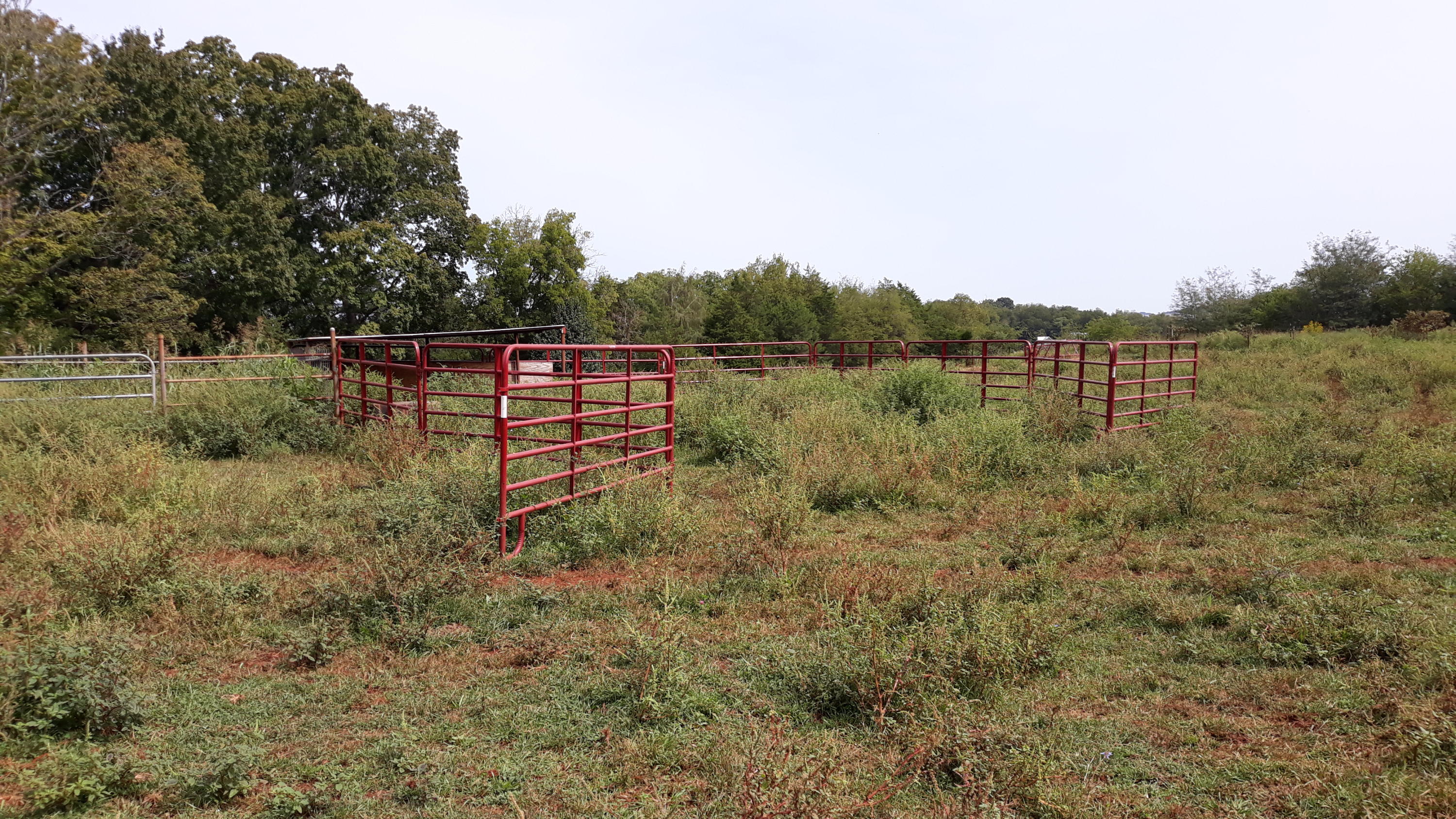 0 Judson Road Strawberry Plains, TN 37871 - Photo 14 of 34 20200916_133259