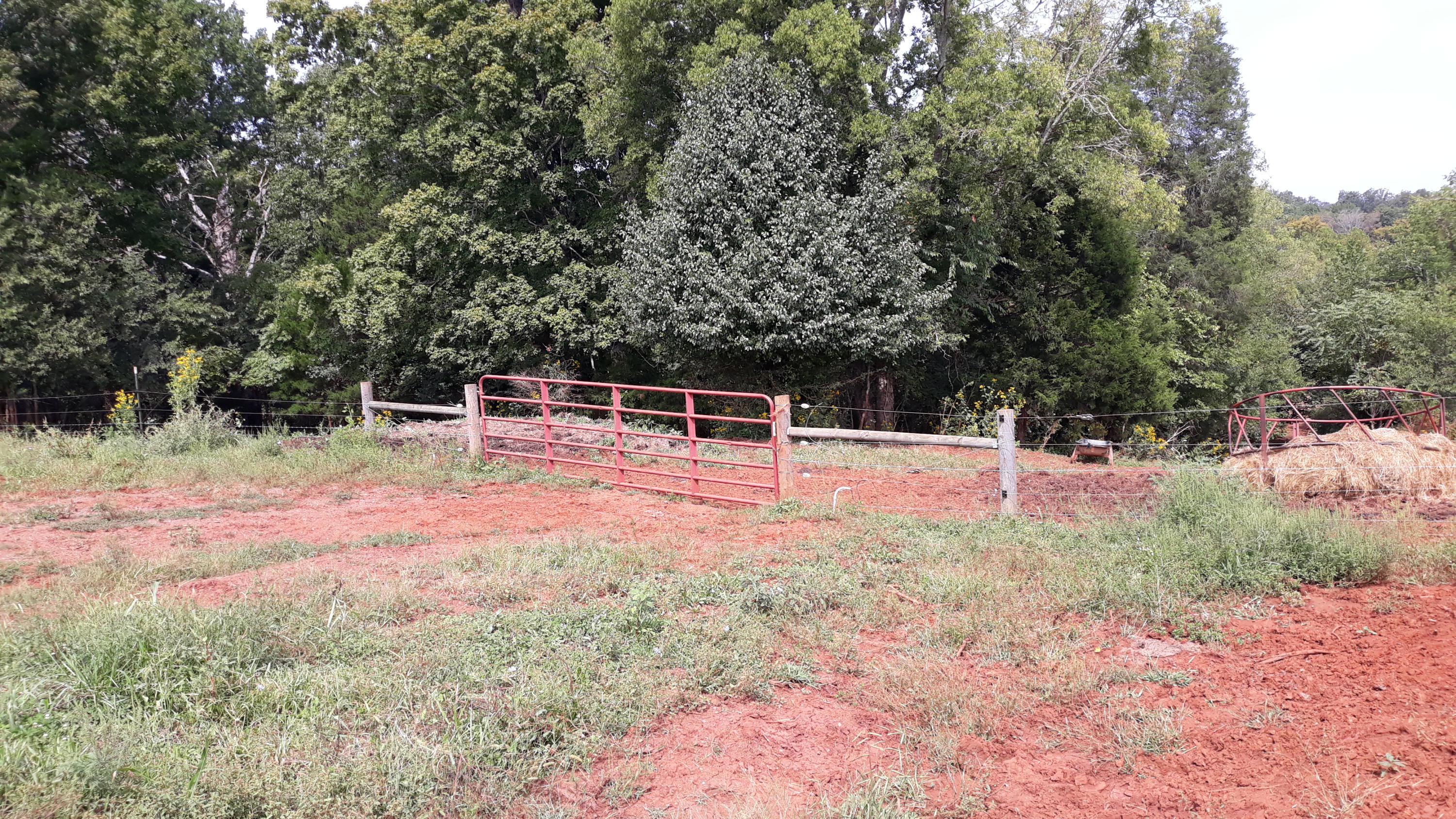 0 Judson Road Strawberry Plains, TN 37871 - Photo 17 of 34 20200916_133458