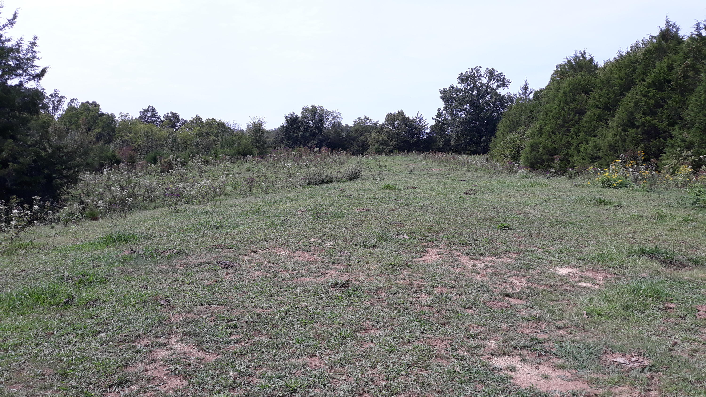 0 Judson Road Strawberry Plains, TN 37871 - Photo 18 of 34 20200916_134721