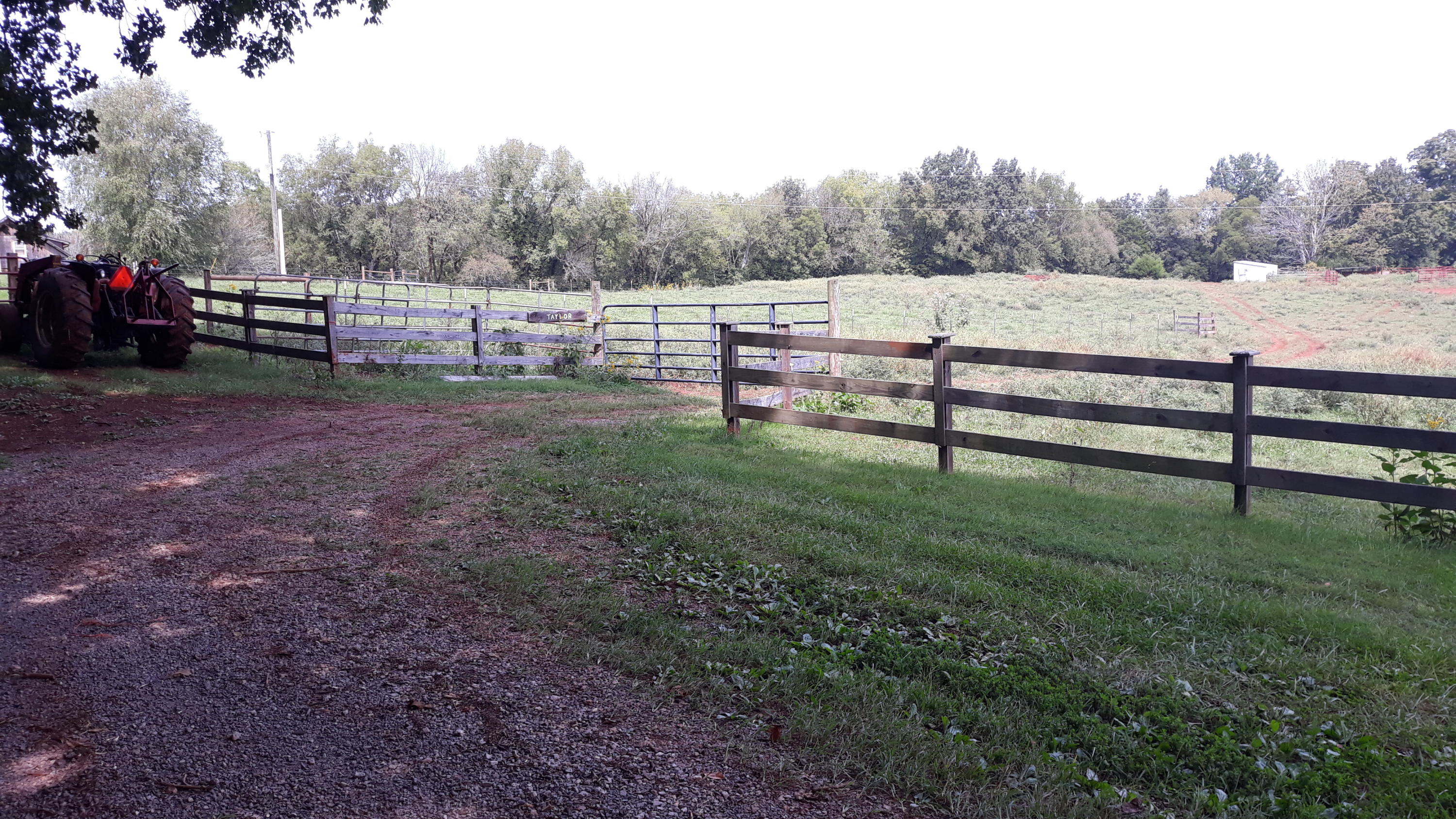0 Judson Road Strawberry Plains, TN 37871 - Photo 3 of 34 20200916_132653