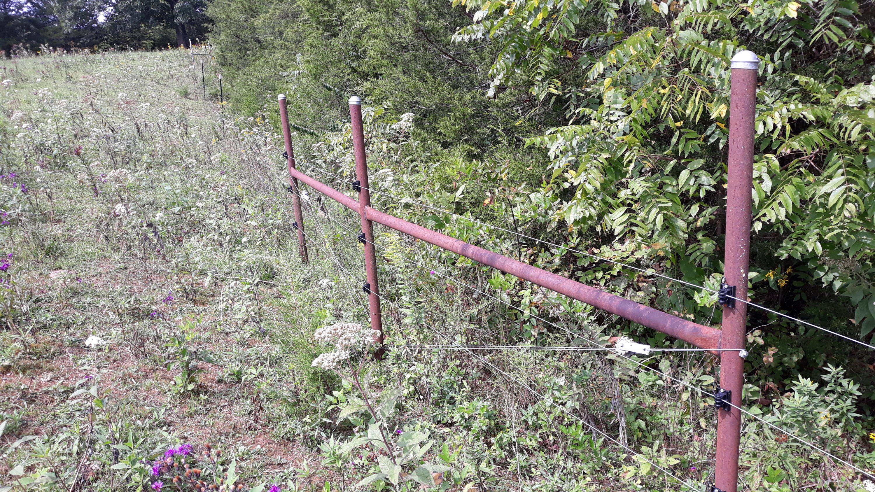 0 Judson Road Strawberry Plains, TN 37871 - Photo 21 of 34 20200916_135043