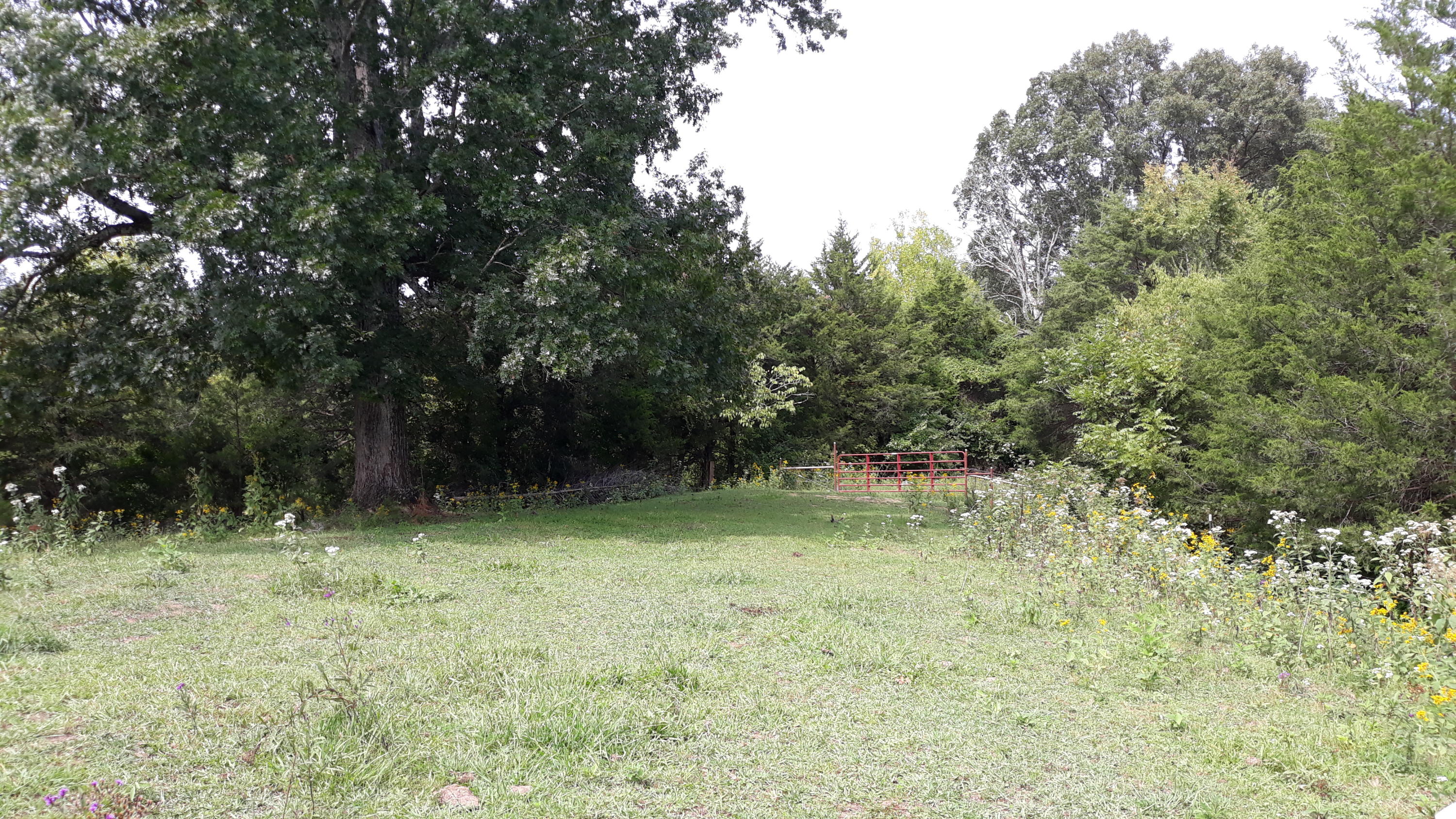 0 Judson Road Strawberry Plains, TN 37871 - Photo 22 of 34 20200916_135217