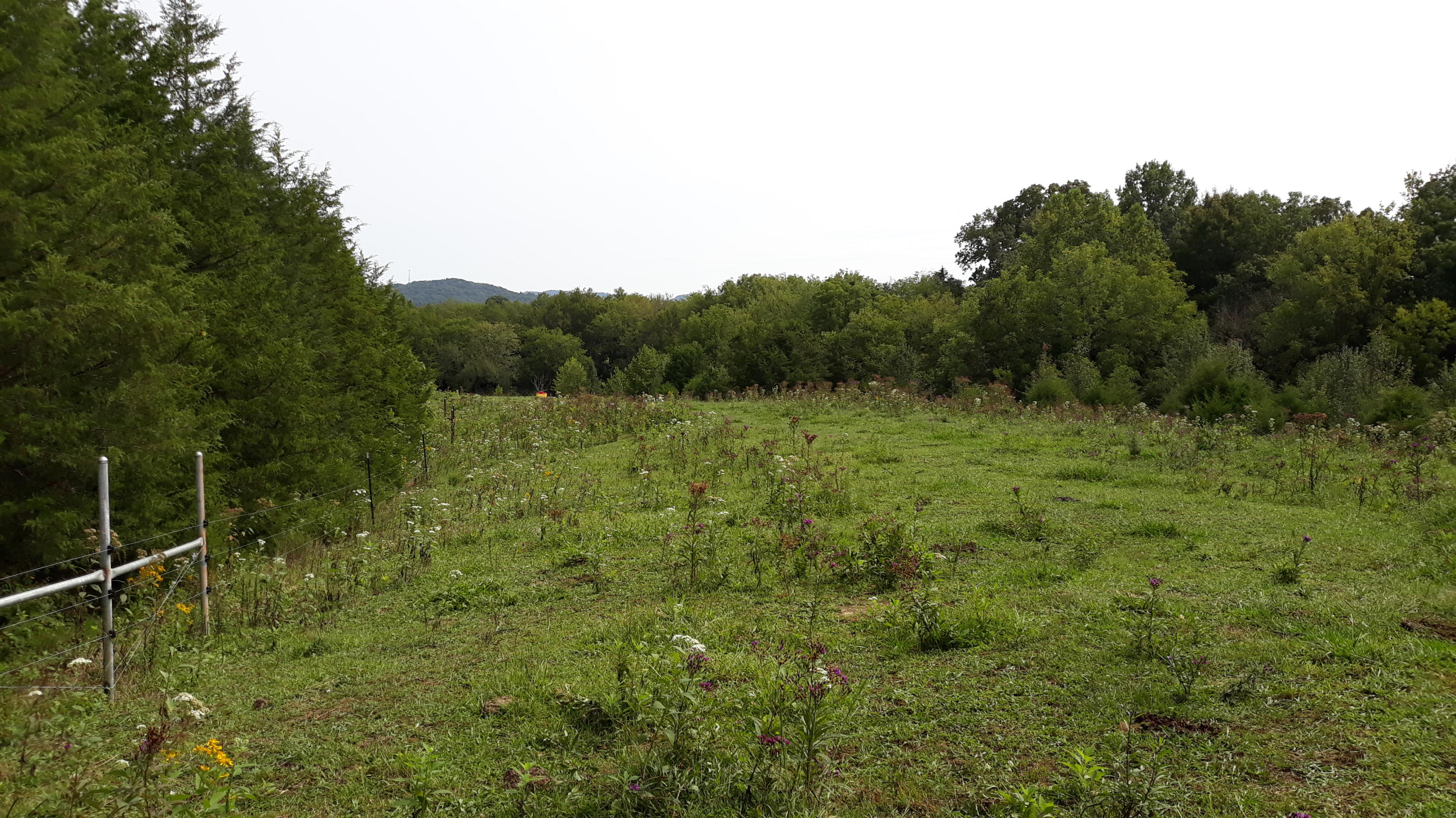 0 Judson Road Strawberry Plains, TN 37871 - Photo 24 of 34 20200916_135321