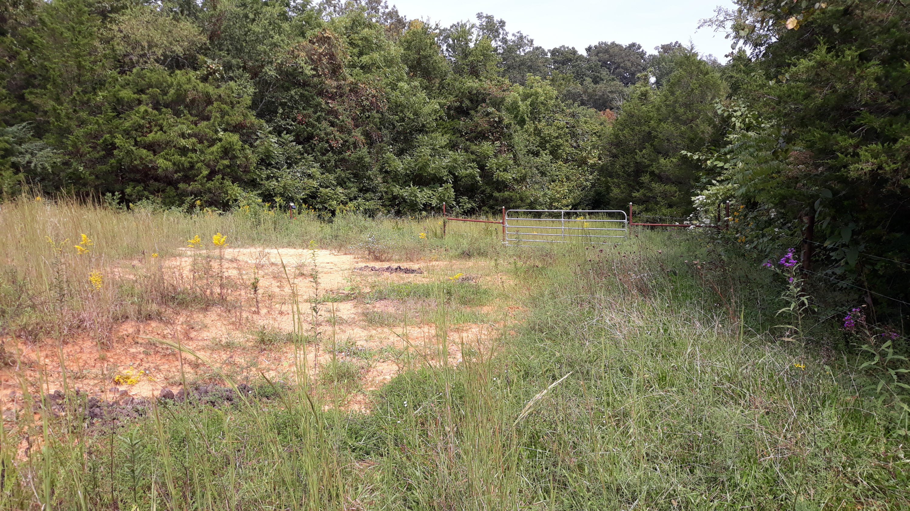 0 Judson Road Strawberry Plains, TN 37871 - Photo 26 of 34 20200916_141208