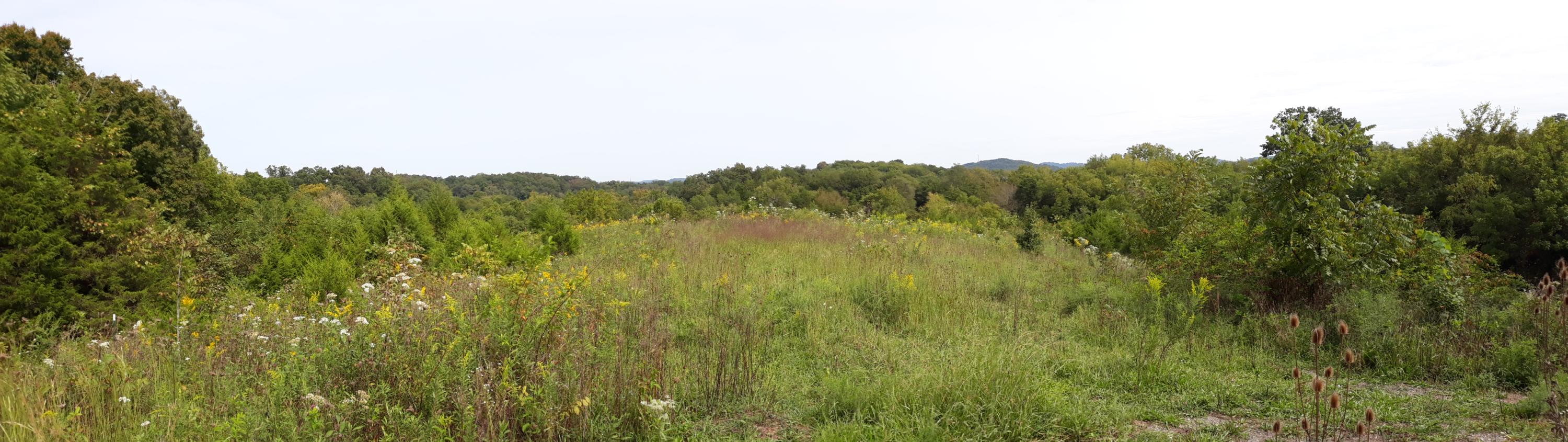 0 Judson Road Strawberry Plains, TN 37871 - Photo 5 of 34 20200916_153150