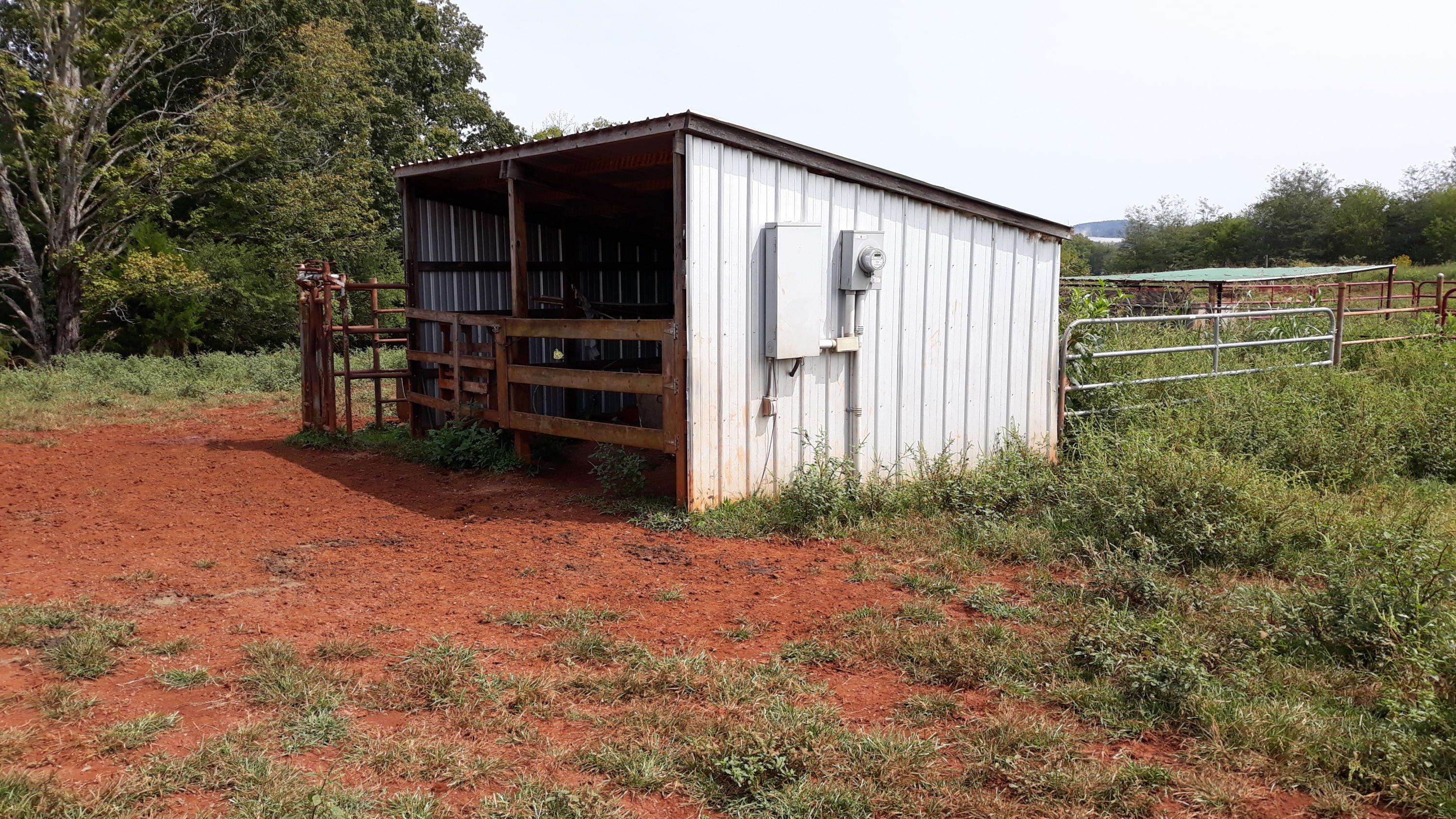 0 Judson Road Strawberry Plains, TN 37871 - Photo 10 of 34 20200916_133646