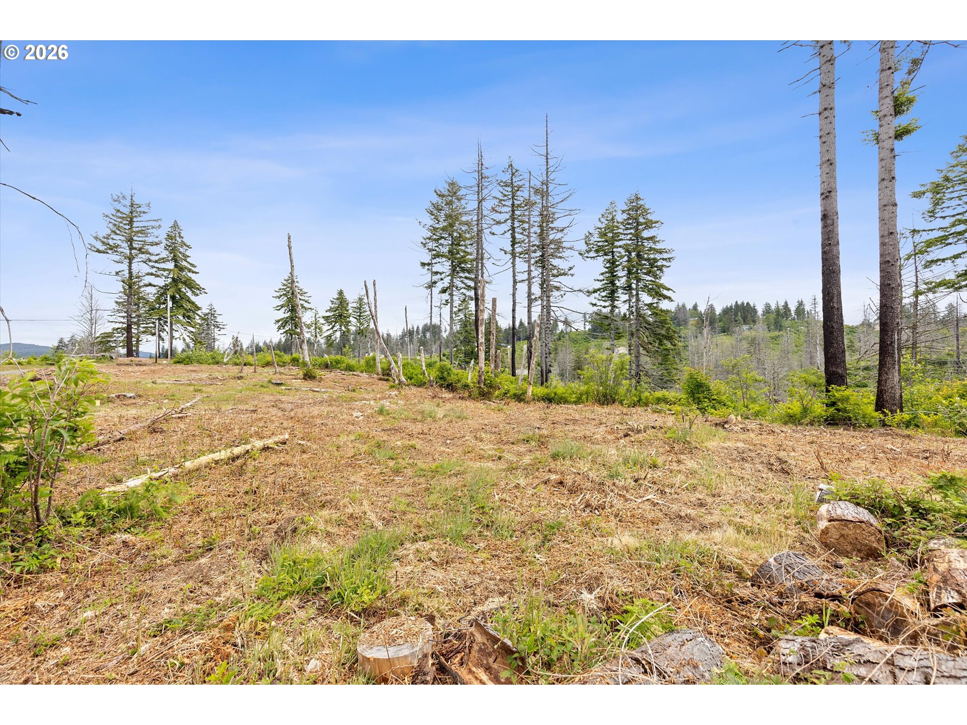 Northeast Viewcrest Street, Unit TL 900 Otis, OR 97368 - Photo 11 of 14