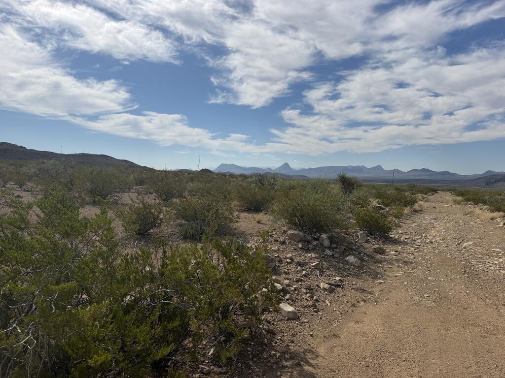420 Trailer Road Alpine, TX 79830 - Photo 14 of 18 Gallery Image 14