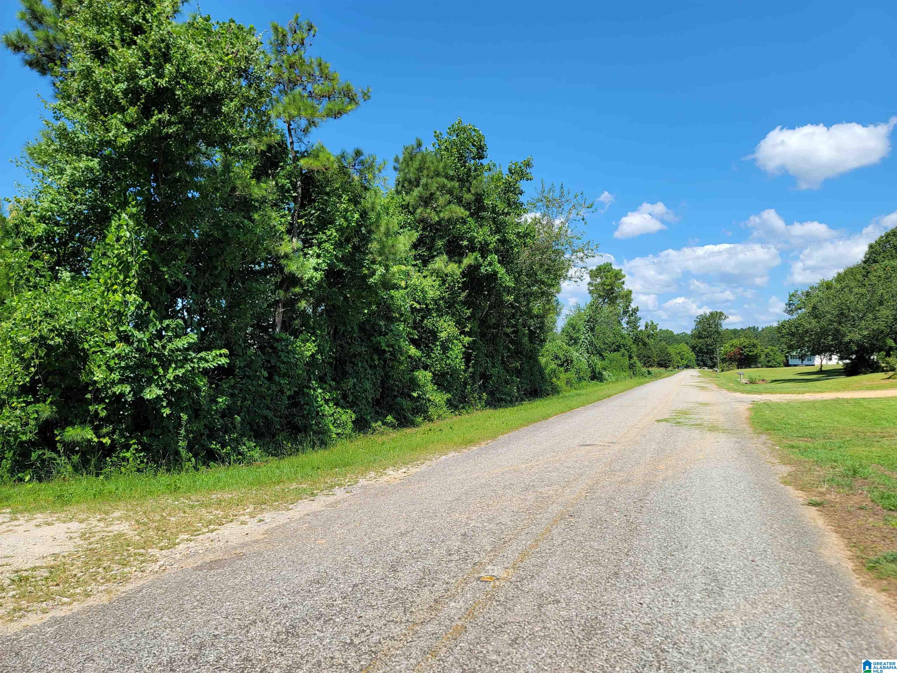 0 County Road 66, Unit 6 ACRES Heflin, AL 36264 - Photo 4 of 6
