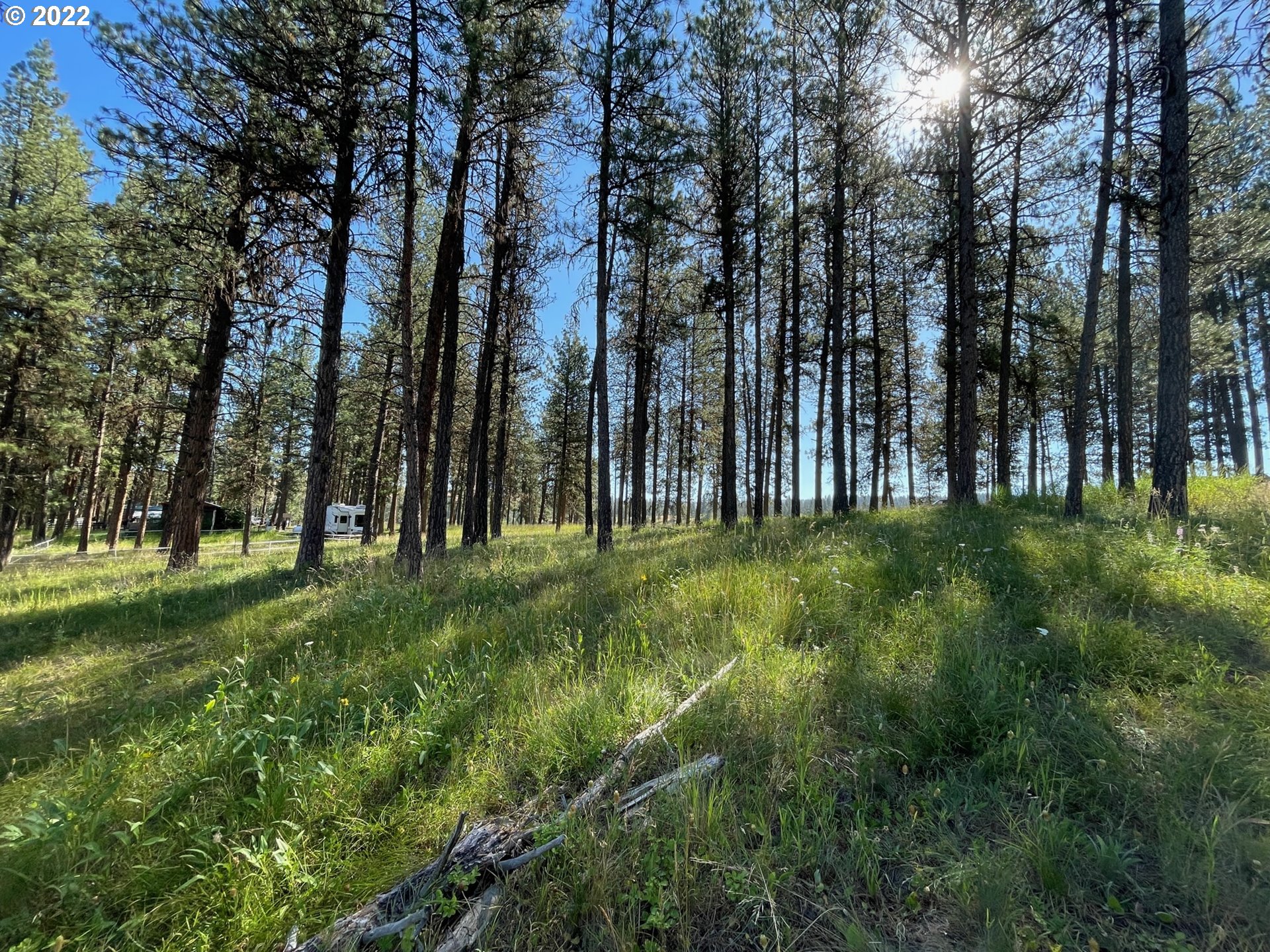 0 Coombs Loop La Grande, OR 97850 - Photo 11 of 17 Gallery Image 11