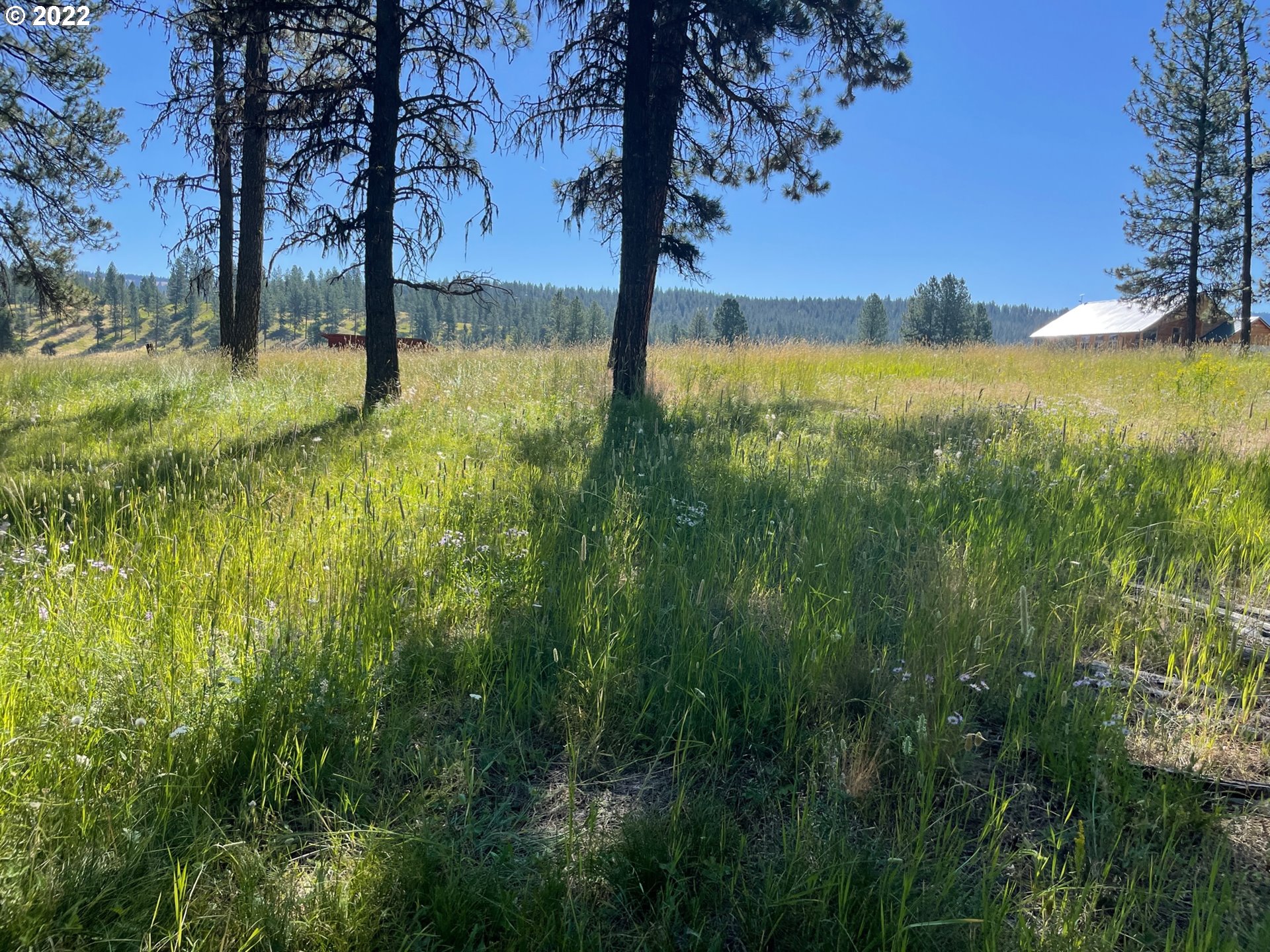 0 Coombs Loop La Grande, OR 97850 - Photo 13 of 17 Gallery Image 13