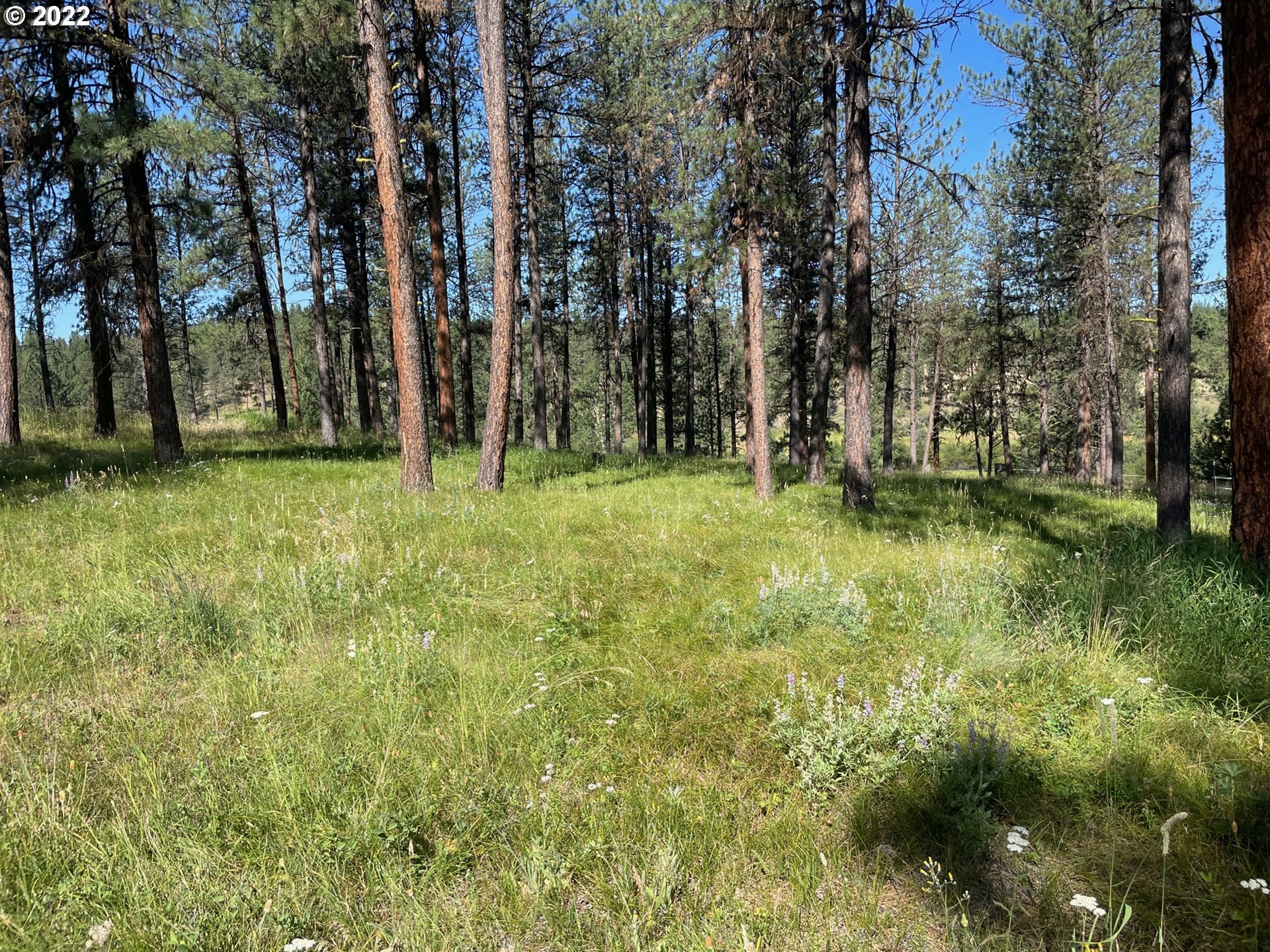 0 Coombs Loop La Grande, OR 97850 - Photo 15 of 17 Gallery Image 15