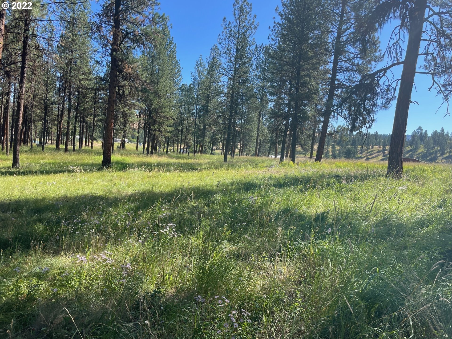0 Coombs Loop La Grande, OR 97850 - Photo 16 of 17 Gallery Image 16