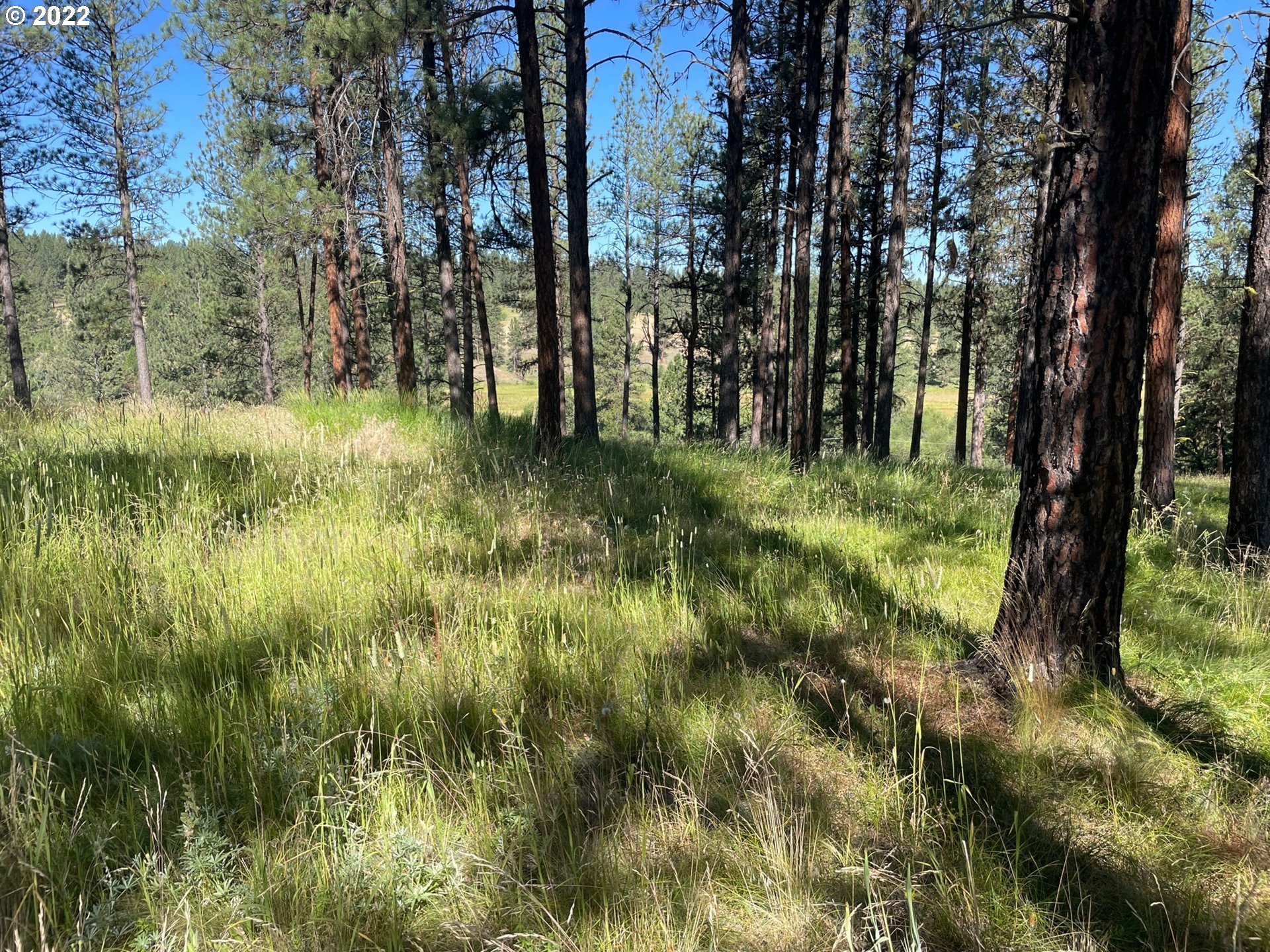 0 Coombs Loop La Grande, OR 97850 - Photo 17 of 17 Gallery Image 17