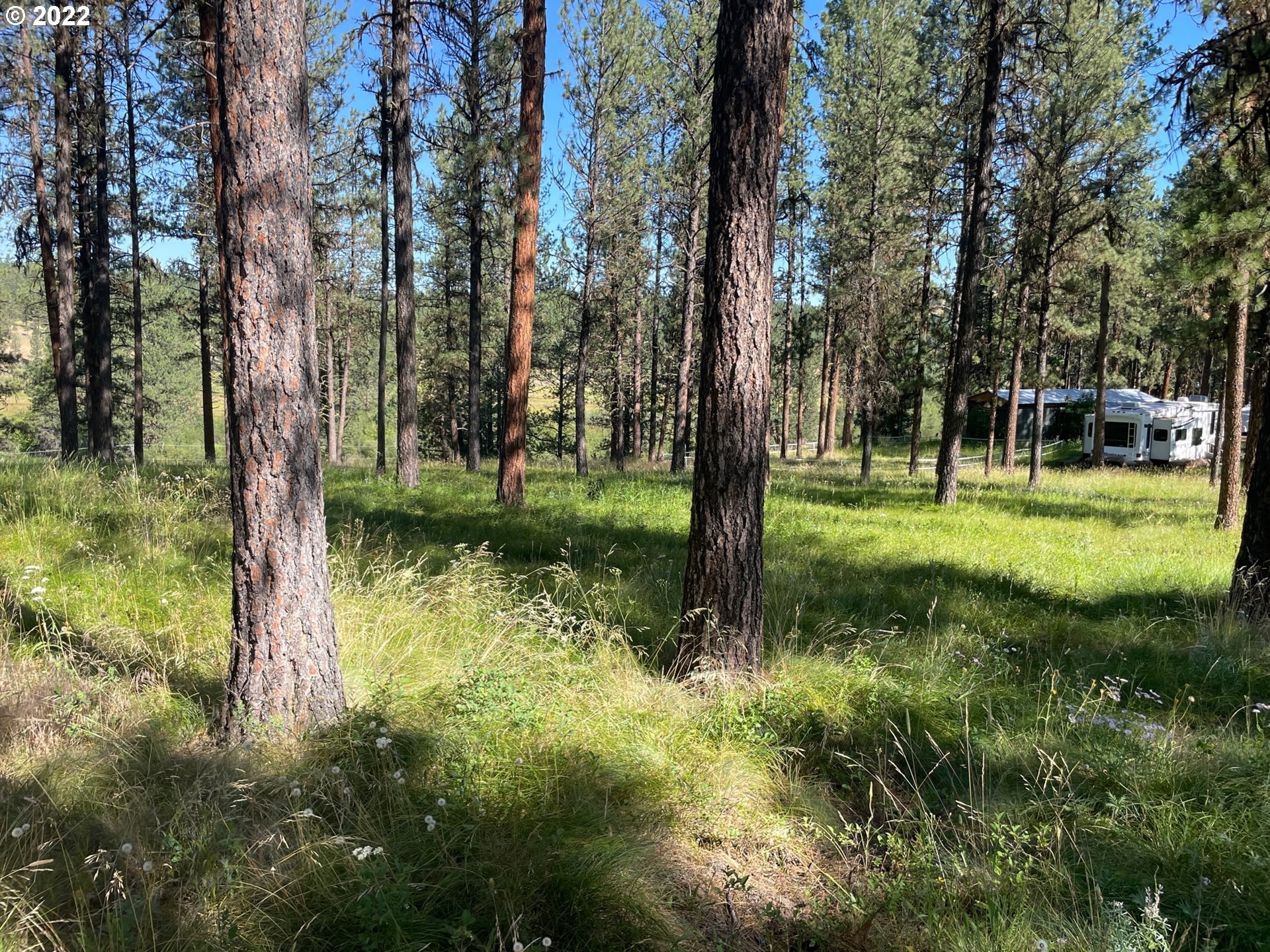 0 Coombs Loop La Grande, OR 97850 - Photo 4 of 17 Gallery Image 4