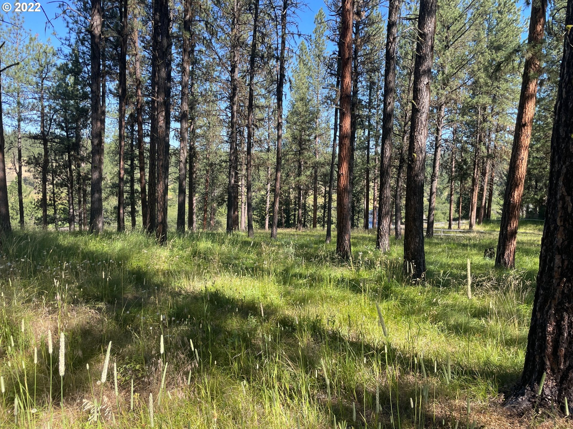 0 Coombs Loop La Grande, OR 97850 - Photo 6 of 17 Gallery Image 6