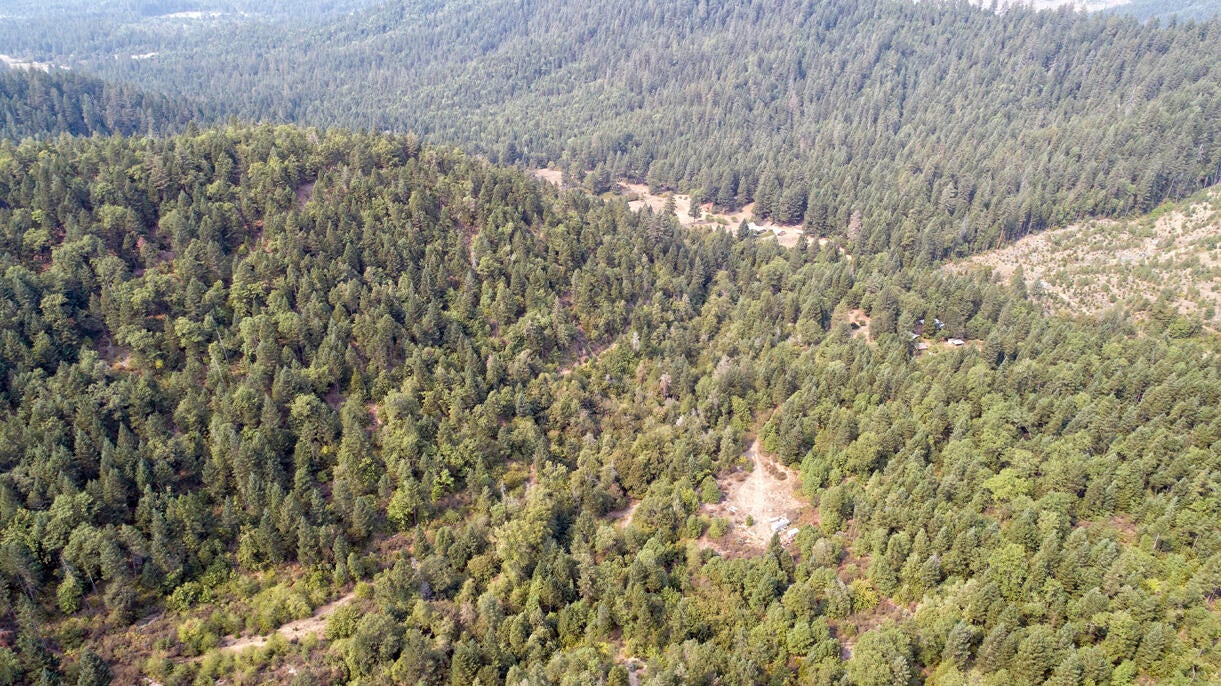 3001 Davis Creek Road Selma, OR 97538 - Photo 20 of 32 DJI_0289