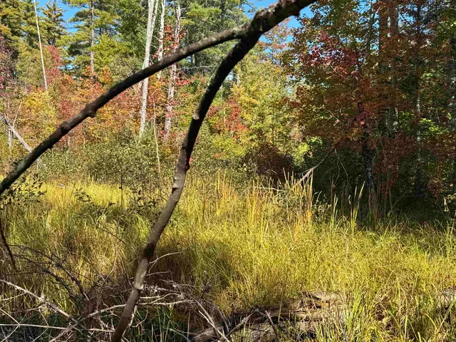 $199,900 | 0 Green Mountain Road, Effingham, NH 03882