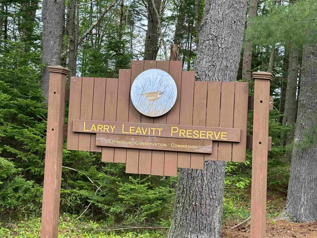 $199,900 | 0 Green Mountain Road, Effingham, NH 03882