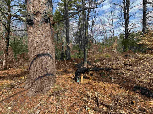 $199,900 | 0 Green Mountain Road, Effingham, NH 03882