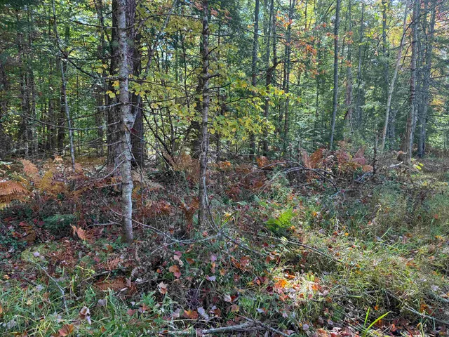 $199,900 | 0 Green Mountain Road, Effingham, NH 03882