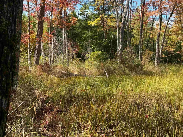 $199,900 | 0 Green Mountain Road, Effingham, NH 03882