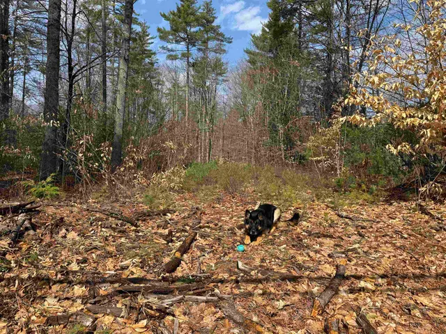 $199,900 | 0 Green Mountain Road, Effingham, NH 03882