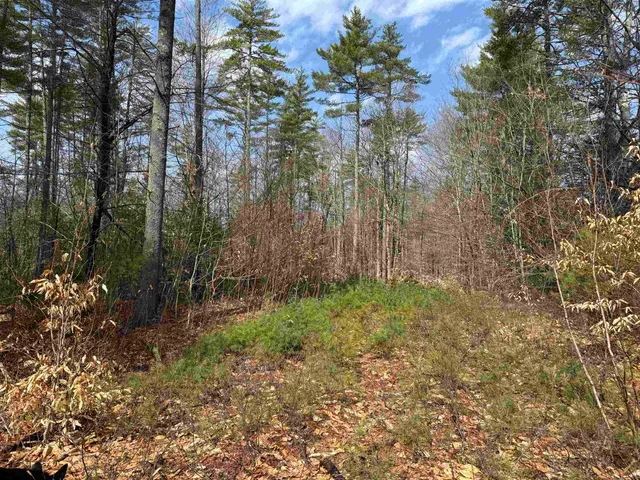 $199,900 | 0 Green Mountain Road, Effingham, NH 03882