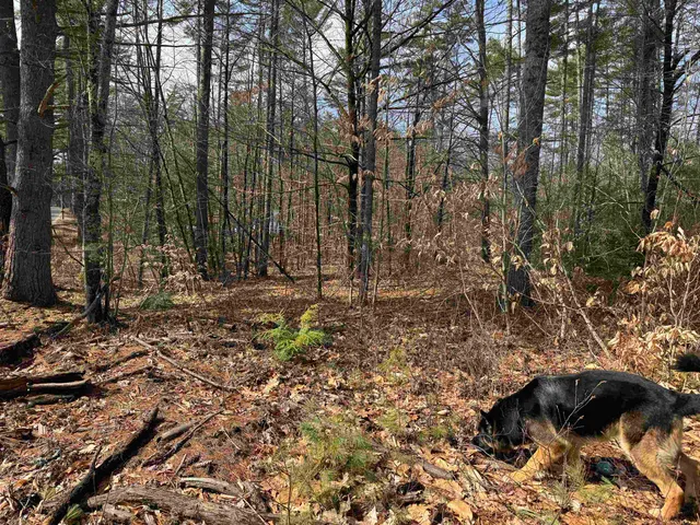 $199,900 | 0 Green Mountain Road, Effingham, NH 03882