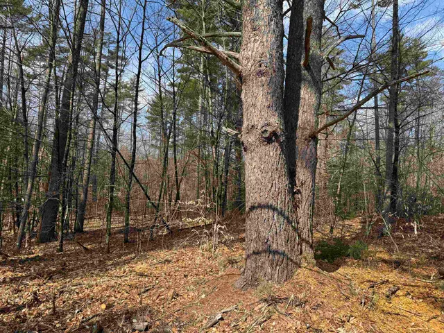 $199,900 | 0 Green Mountain Road, Effingham, NH 03882