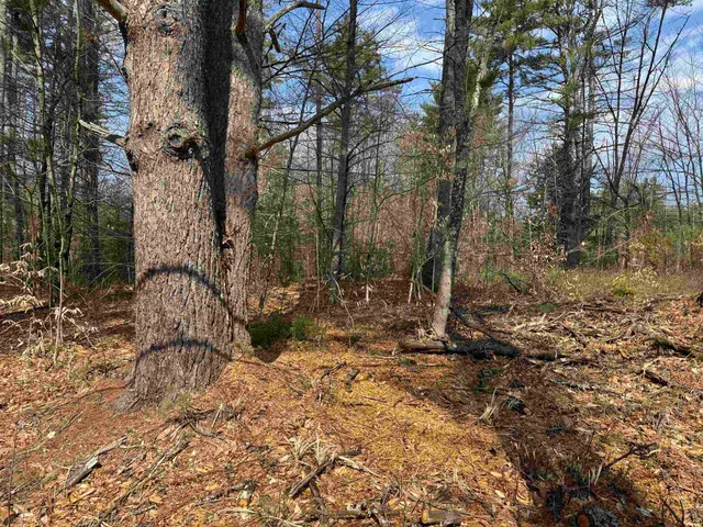 $199,900 | 0 Green Mountain Road, Effingham, NH 03882