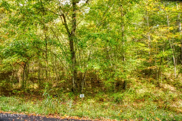 $30,000 | 11 Old Mount, Allardt, TN 38504