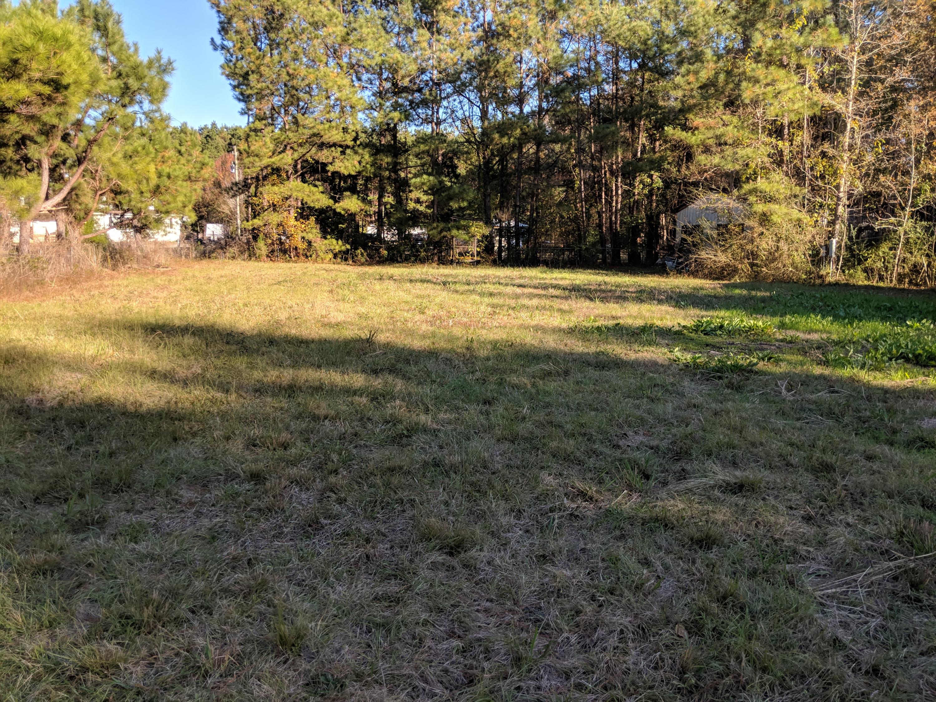 165 Roberts Road Summerville, SC 29483 - Photo 3 of 7 IMG_20181204_150013