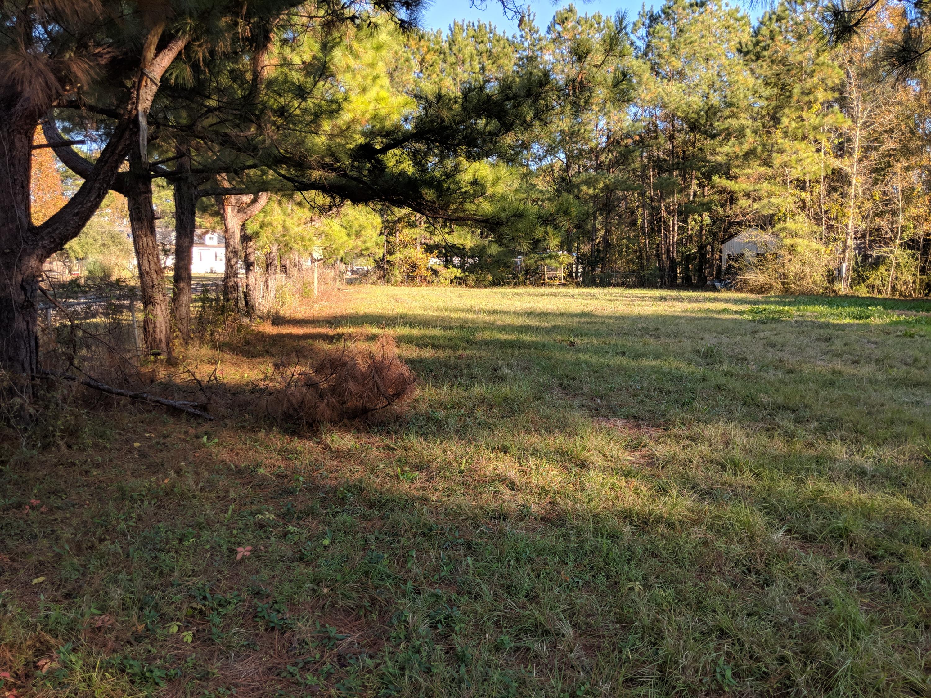 165 Roberts Road Summerville, SC 29483 - Photo 4 of 7 IMG_20181204_150049