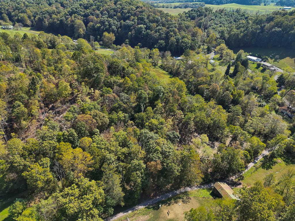 29041 Smyth Chapel Road Meadowview, VA 24361 - Photo 4 of 16 Gallery Image 4