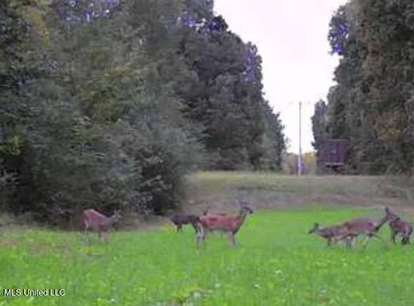 $799,000 | 1381 South Old Highway, Holly Springs, MS 38635