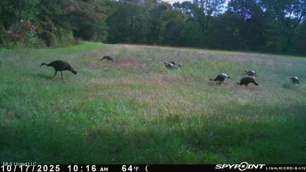 $799,000 | 1381 South Old Highway, Holly Springs, MS 38635