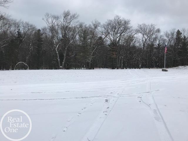 6025 Sand Road Caseville, MI 48725 - Photo 35 of 48