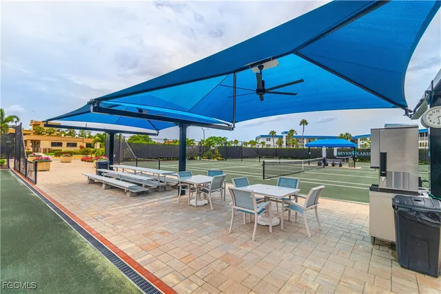 a front view of a garden with a palm tree