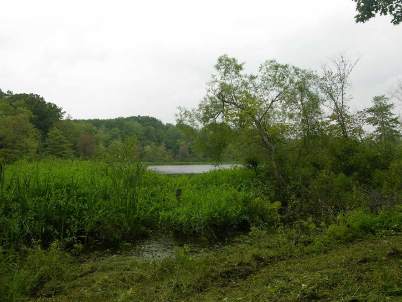 6382 Corrigan Road Belding, MI 48809 - Photo 13 of 29 Img001995