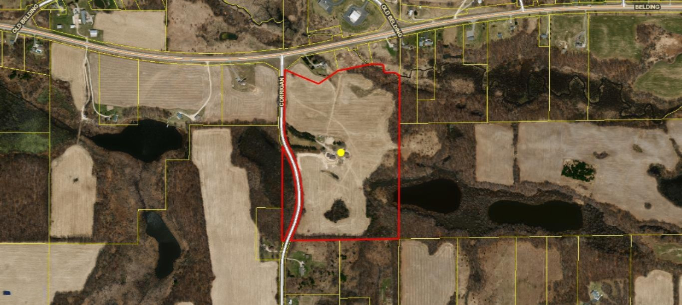 6382 Corrigan Road Belding, MI 48809 - Photo 14 of 29 aerial view 6382 Corrigan