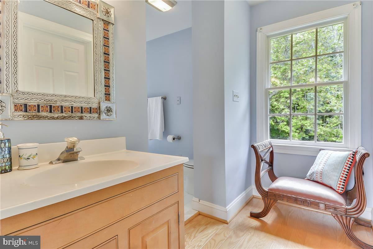 14102 Longnecker Road Reisterstown, MD 21136 - Photo 20 of 36 Great layout of primary suite bath!