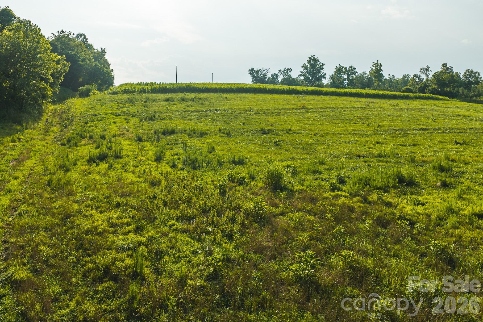 Tbd Sandbar Road Granite Falls, NC 28630 - Photo 21 of 43