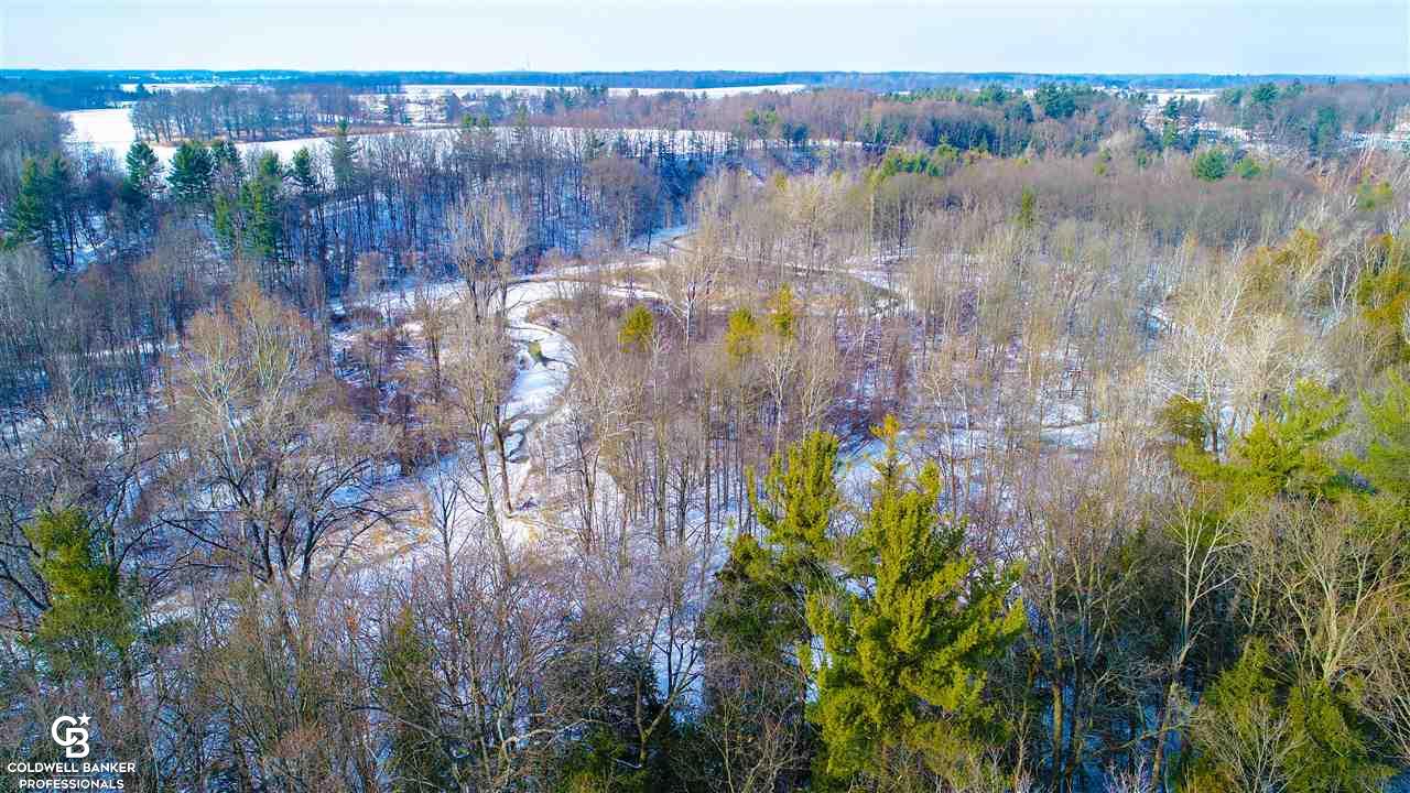 4691 Cribbins Road Avoca, MI 48006 - Photo 41 of 42