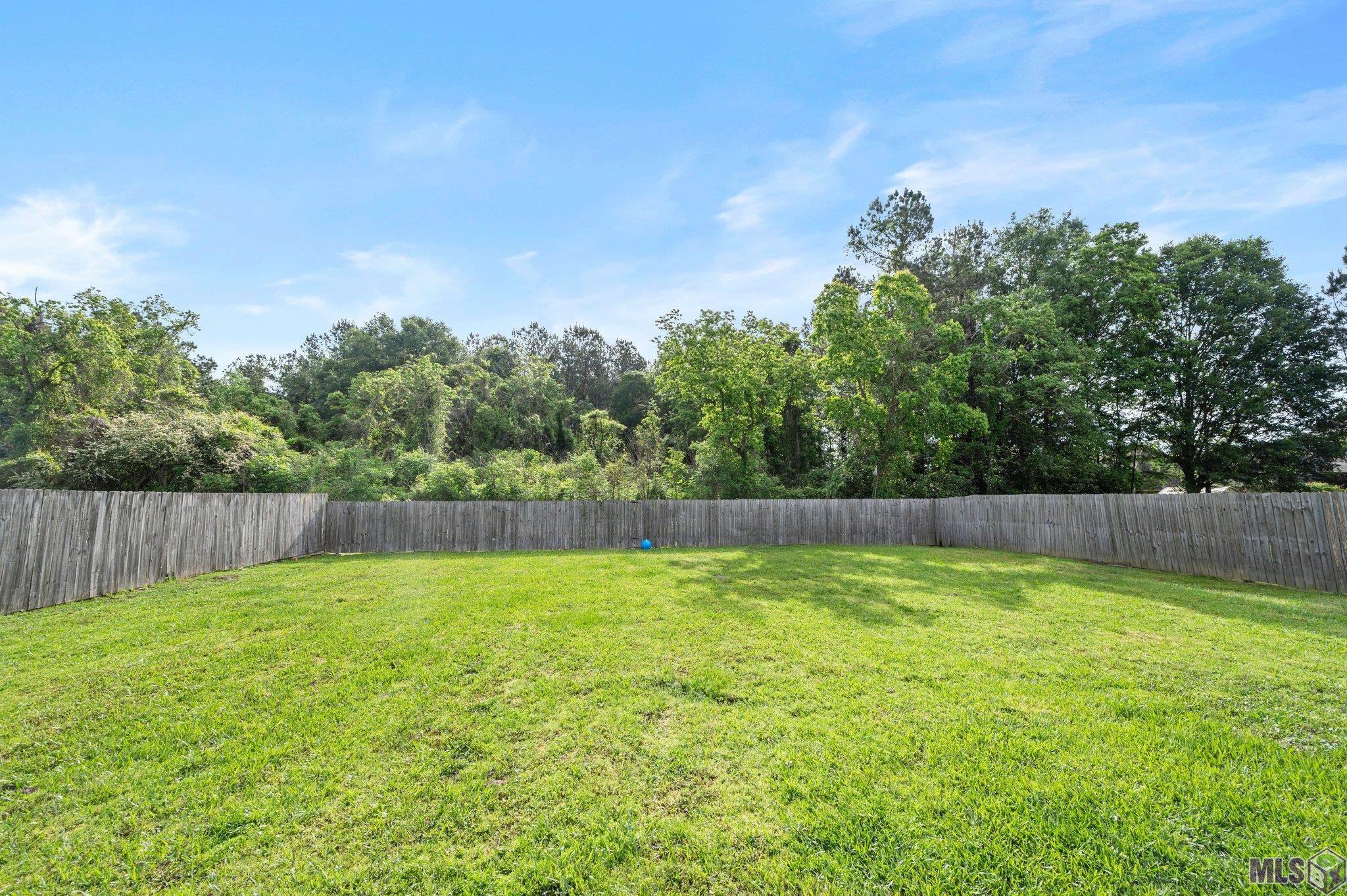 34122 Spring Lake Drive Walker, LA 70785 - Photo 17 of 18