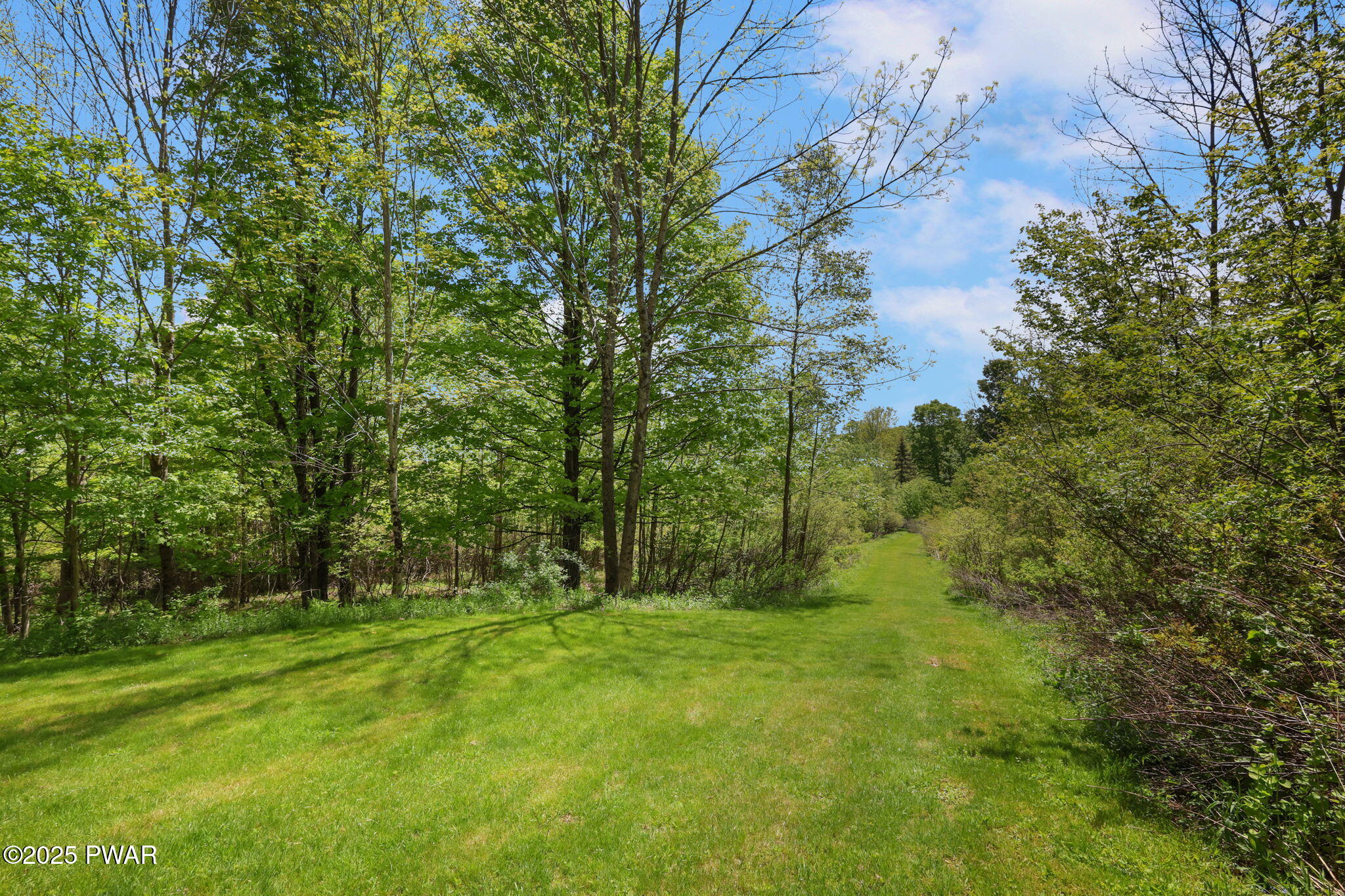 80 Bush Road Pleasant Mount, PA 18453 - Photo 82 of 97