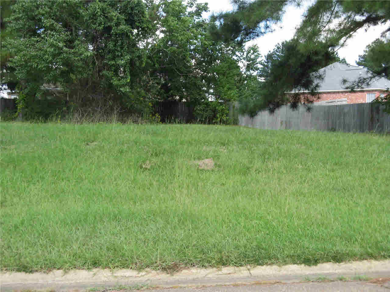 0 Raulston Drive Byram, MS 39272 - Photo 5 of 7 Photo 5